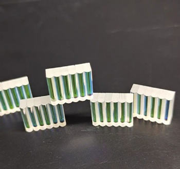 Array of cylindrical  lenses