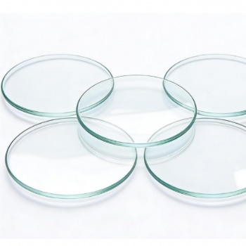 lab watch glass breaker Cover